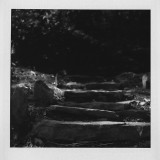 Steps