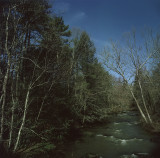 Brush Creek Drive By Snapshot