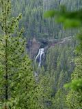 falls of the Yellowstone river through the trees
