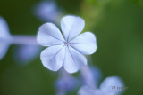 55plus12mm extension tube