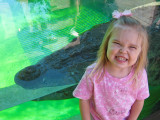 Abbys Best Alligator