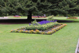 Flower Garden in Christchurch Botanic Gardens (6649)