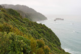 Coastline at Knights Point (8597)