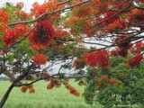 Impressions of Queensland