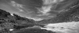 IMG_6555_C3_BW.jpg