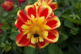 P1010039.jpg