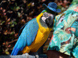 DSC_0024.jpg