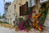 Flowered Wall