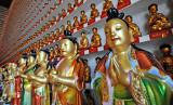 Shatin - 10,000 Buddhas Monastery