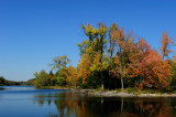 Local Park, Almonte