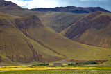 IMG_4537W.jpg