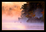 Morning Fog
