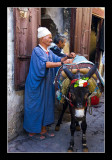 Medina of Fez