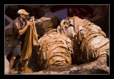 A Tannery in Fez