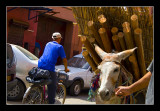 Medina of Marrakesh