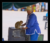 Marrakesh Market