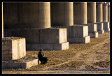 Under a Railroad Bridge