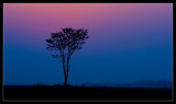 Sunset (5) Last Bit
