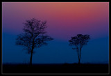 Sunset (6) Gone