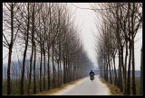 Road to a Village