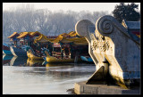 Summer Palace