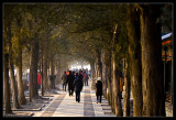 Summer Palace