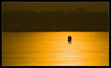 Ice Lake