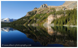 Autumn at Lake OHara - Cathedral Mountain & Wiwaxy Peaks