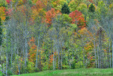 Laurentian Autumn colours