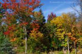The dazzling colours of the Laurentians