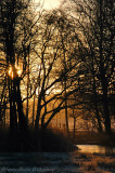 Sunrise at Amsterdamse Waterleiding Duinen