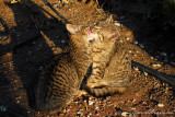 Bathing time