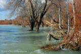 near Manavgat Waterfall