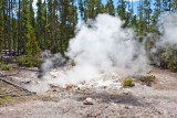 One Minute Geyser, Norris Geysir Bassin