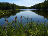 Lake Lookout