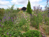 DSC09148.JPG