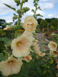 DSC09432.JPG