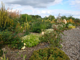 DSC09498.JPG