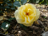 DSC09511.JPG