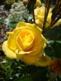 DSC09517.JPG