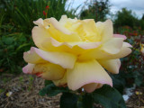 DSC09550.JPG