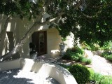 Front Yard at the Camps Bay House