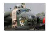 B-25 Yellow Rose