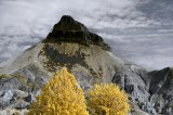 John Day Fossil Beds