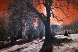 Riverview Cemetery