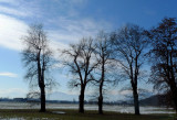 Torino - La Venaria reale