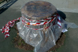 Plastic cut Tree