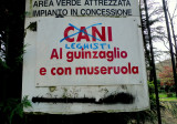 Leghisti