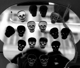 Skulls