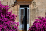 Bougainvillea door